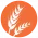 GLUTEN